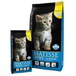 фото Matisse Kitten