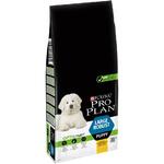 фото Pro Plan Large Robust Puppy