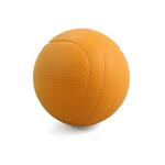 фото Мяч волейбольный