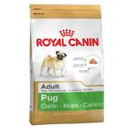 фото Royal Canin Pug