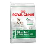 фото Royal Canin Mini Starter