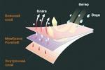 Фото №2 Перчатки водонепроницаемые Dexshell Flame Retardant