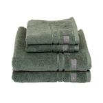 фото Полотенце Gant Home PREMIUM TERRY TOWEL, 50x100см, темно-зеленый, 100% хлопок