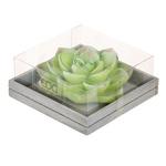 фото Свеча Edg succulent 5х13см