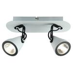 фото Спот Lussole Loft LSN-4101-02