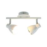 фото Светодиодный спот Arte Lamp Gioved A6008PL-2WH