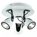 фото Спот Lussole Loft LSN-4101-03