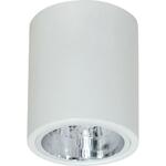фото Потолочный светильник Luminex Downlight Round 7236