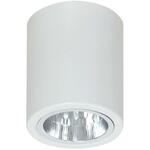 фото Потолочный светильник Luminex Downlight Round 7234