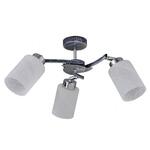 фото Спот IDLamp Natale 850/3PF-Blueglow