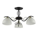 фото Потолочная люстра IDLamp Ragia 554/3PF-Blackpatina