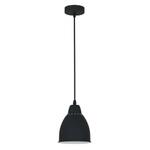 фото Подвесной светильник Arte Lamp Braccio A2054SP-1BK