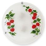 фото Настенный светильник Toplight Omtar TL9371Y-02WH