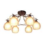 фото Потолочная люстра IDLamp Isabella 873/6PF-Darkchrome