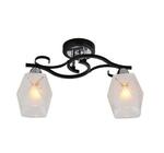 фото Потолочный светильник IDLamp Kinsey 233/2PF-Blackchrome