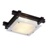 фото Потолочный светильник Arte Lamp 94 A6462PL-2CK