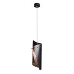 фото Подвесной светильник Loft IT 1012-SBG