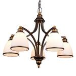 фото Подвесная люстра Arte Lamp Bonito A9518LM-5BA