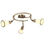 фото Спот Arte Lamp 81 A9231PL-3AB