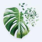 фото Пазл DOIY, Monstera