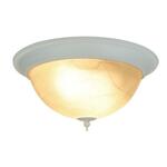 фото Потолочный светильник Arte Lamp Porch A1305PL-2WH