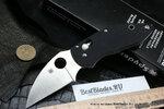 фото Нож складной Spyderco Q Ball S30V 219GP