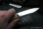 Фото №4 Нож FOX knives артикул 525 OL TERZUOLA