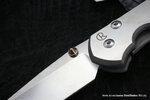 Фото №3 Нож складной Chris Reeve Large Sebenza 21 Leopard ChR/L21CGG