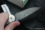 Фото №7 Нож складной Chris Reeve Large Sebenza 21 Unique Seagrass Graphics Raindrop Damascus ChR/SSEDAMSL