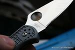 Фото №5 Нож Spyderco Delica Flat Ground Grey C11FPGY