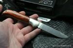 Фото №3 Складной нож FOX Knives Forest Pakkawood FX-500