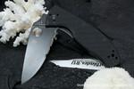 Фото №4 Нож складной Spyderco Tenacious C122GBBKPS