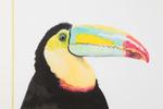 Фото №2 Постер Toucan