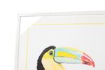 Фото №4 Постер Toucan