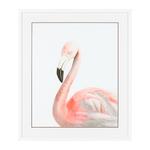 фото Постер Flamingo