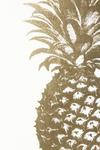Фото №2 Постер Gold Pineapple