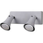 фото Спот Odeon Light Reanna 3825/2W серый GU10 2х50W 220V