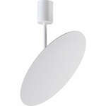 фото Светильник настенно-потолочный светодиодный Odeon Light Whittaker 3844/12CL белый 12W 220V