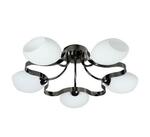 фото Потолочная люстра IDLamp Martha 601/5PF-SUNDarkchrome