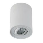 фото Потолочный светильник Crystal Lux CLT 410C WH