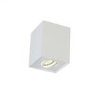 фото Потолочный светильник Crystal Lux CLT 420C WH