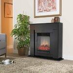 Фото №3 Dimplex Suite Black