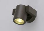 фото Спот Crystal Lux CLT 020CW BR