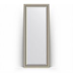 фото Зеркало в багетной раме Evoform хамелеон 81x201 см