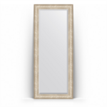 фото Зеркало в багетной раме Evoform серебро 85x205 см